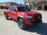 2021 Red /Gray Toyota Tacoma SR5 Double Cab V6 6AT 4WD (5TFCZ5ANXMX) with an 3.5L V6 DOHC 24V engine, 6A transmission, located at 1617 W Church Street, Livingston, TX, 77351, (936) 327-3600, 30.710995, -94.951157 - WOW! ONE OWNER!! GOOD MILES!! The perfect truck for this deer season or anything else!! - Photo#2