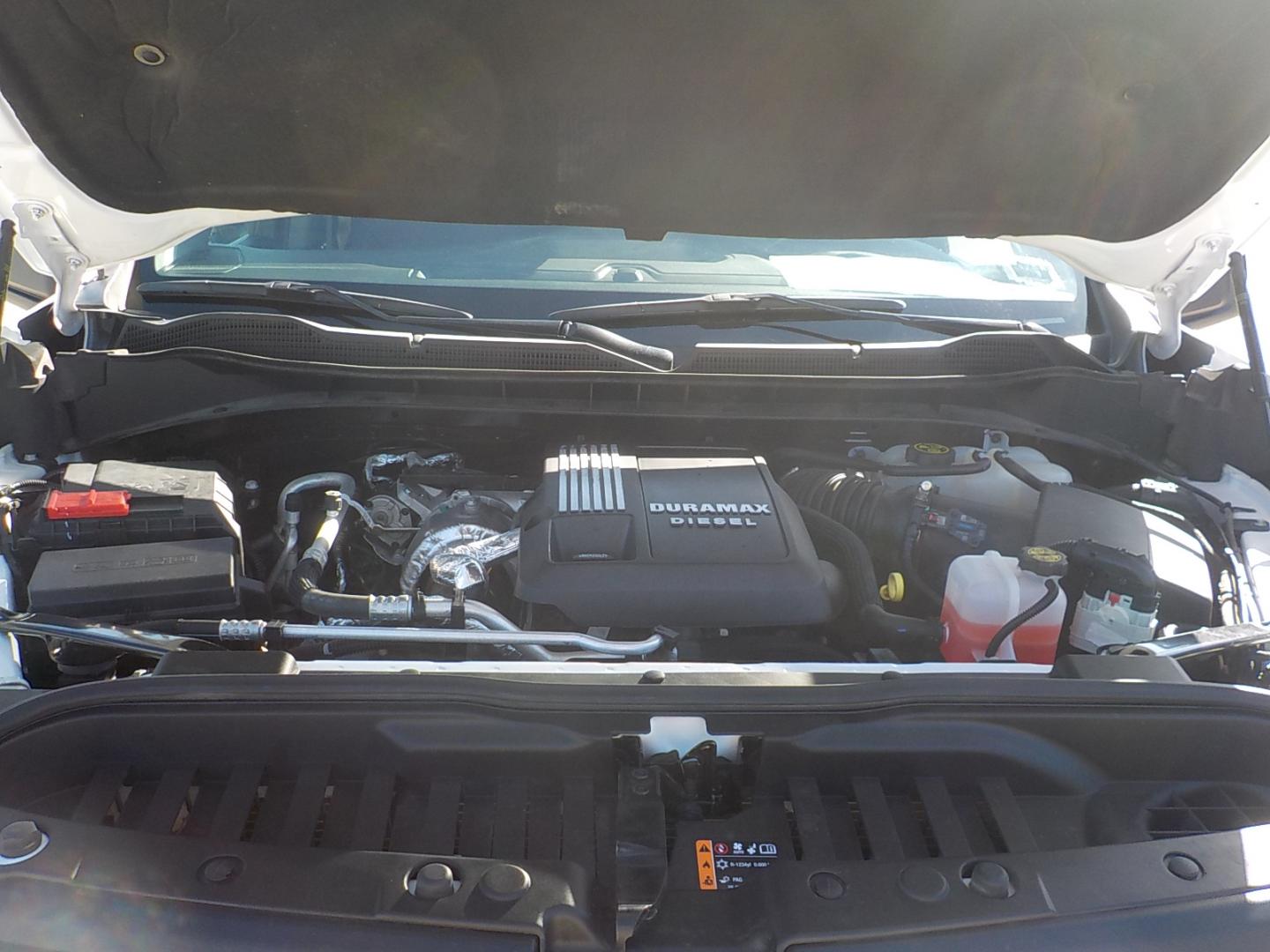 2022 White /Black Chevrolet Silverado 1500 Trail Boss Custom Crew Cab 4WD (3GCUDCET4NG) with an 3.0L V6 DOHC 24V DIESEL TURBO engine, 6A transmission, located at 1617 W Church Street, Livingston, TX, 77351, (936) 327-3600, 30.710995, -94.951157 - ONE OWNER!! LOCAL TRUCK!! Duramax diesel! - Photo#18